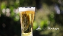 Beer Glass 1 3345